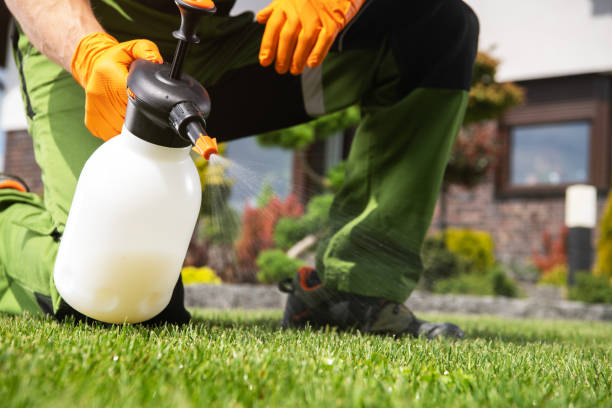 Best Cockroach Control Services  in Lake City, MN