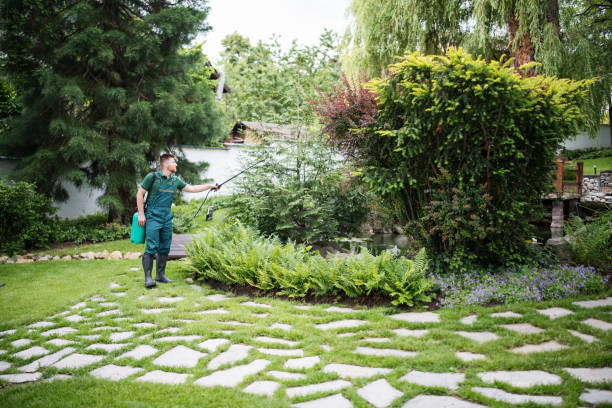 Best Wasp Removal Services  in Lake City, MN