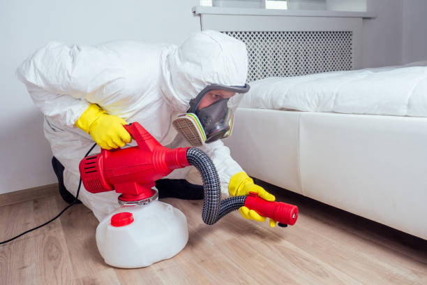 Best Residential Pest Control  in Lake City, MN