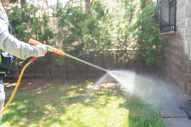 Insect Control in Lake City, MN