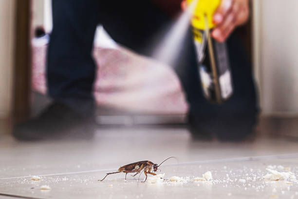 Best Commercial Pest Control Services  in Lake City, MN